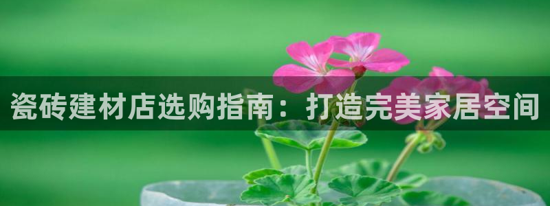 杏鑫平台正规吗可信吗