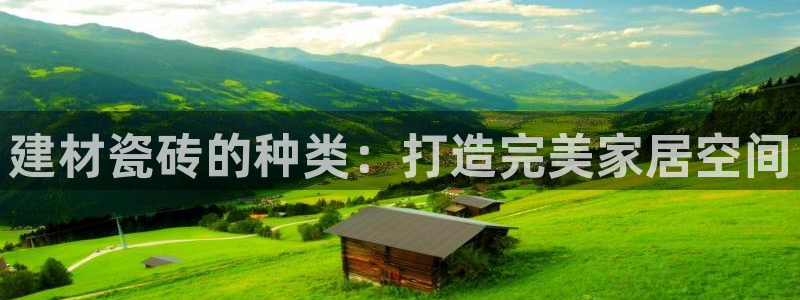 杏鑫官网最新信息