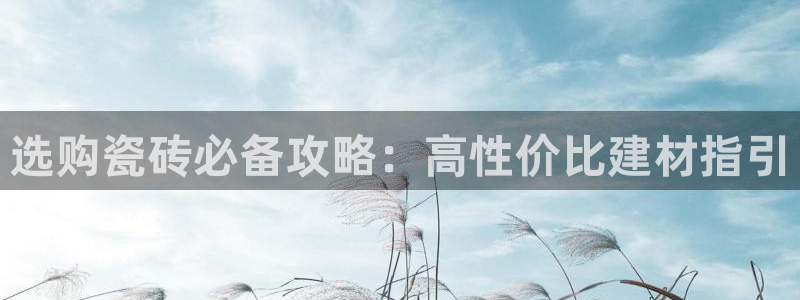 杏鑫平台代理怎么做赚钱