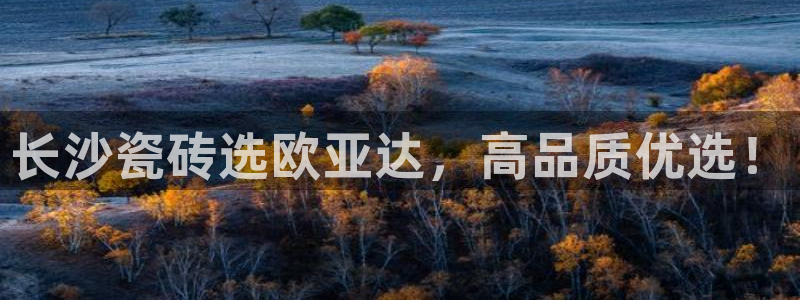 杏鑫平台是黑平台吗