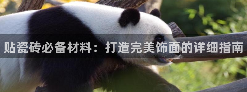 杏鑫平台注册登录