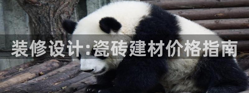 杏鑫平台平台