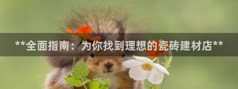 杏鑫娱乐平台