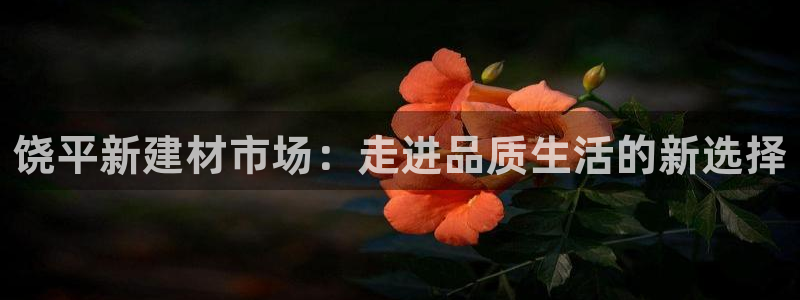 杏鑫平台代理怎么做的