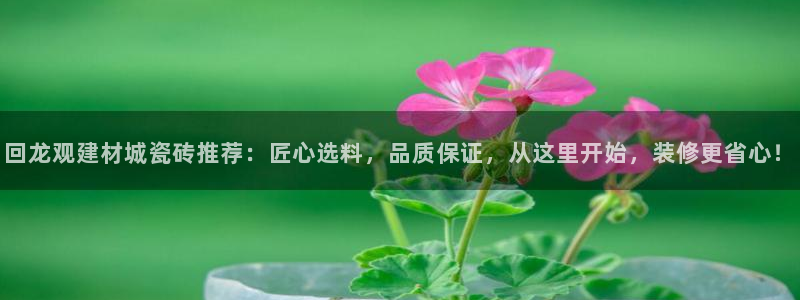 杏鑫平台念7O777
