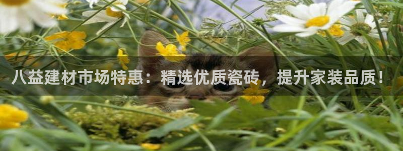 杏鑫娱乐平台