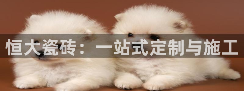 杏鑫平台代理注册登录不了怎么办呀