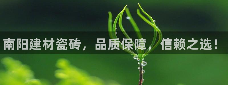 杏鑫平台注册地址是哪里