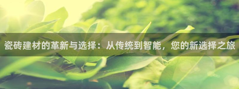 杏鑫平台代理怎么样赚钱