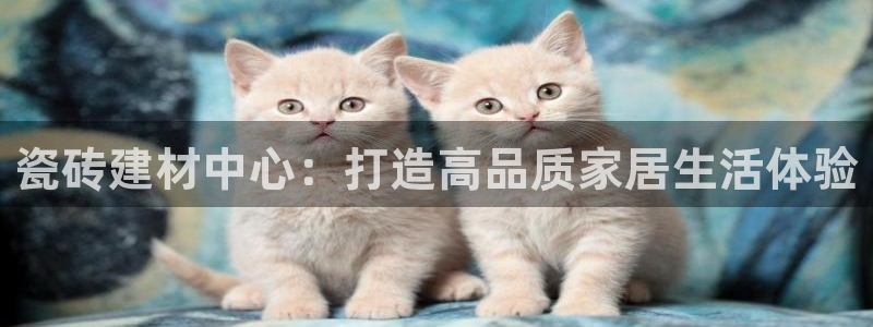 杏鑫手机客户端怎么下载