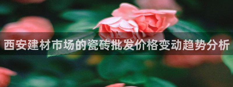杏鑫平台招商电话号码查询
