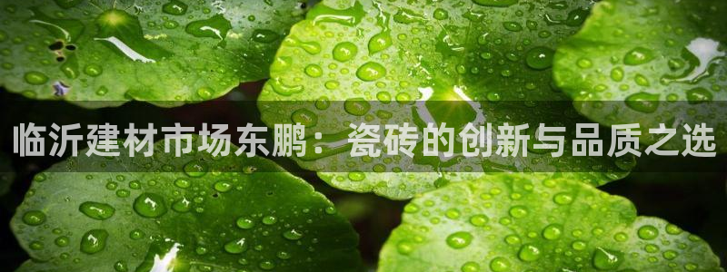 杏鑫娱乐是真的吗还是假的