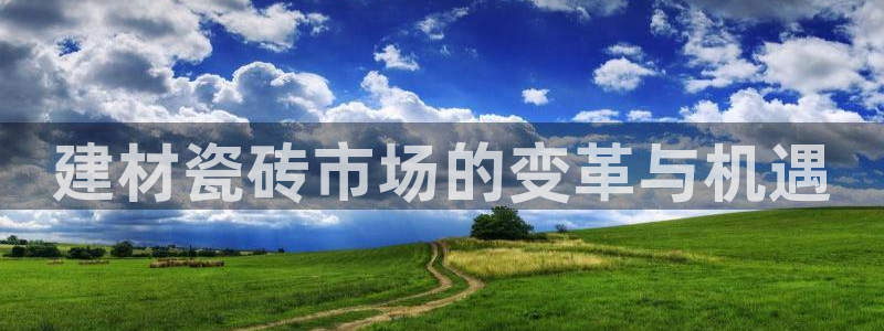 杏鑫娱乐开发团队