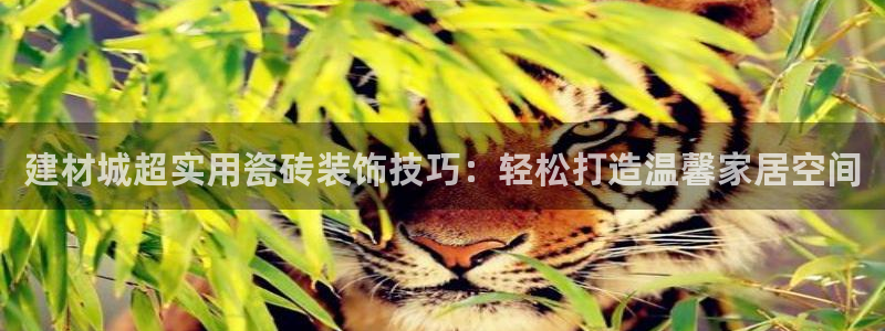 杏鑫平台注册入口在哪里找