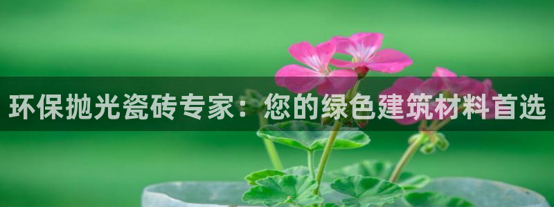 杏鑫娱乐官方网站客户端登录