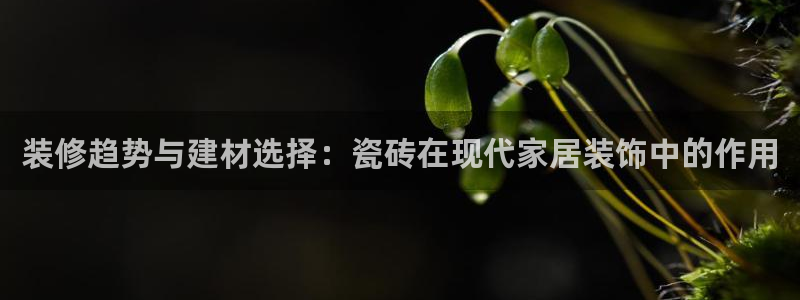 杏鑫平台招商电话号码是多少