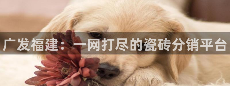 杏鑫平台怎么样黑钱吗