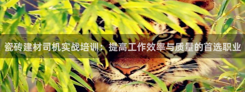 杏鑫平台怎么样黑钱吗是真的吗知乎