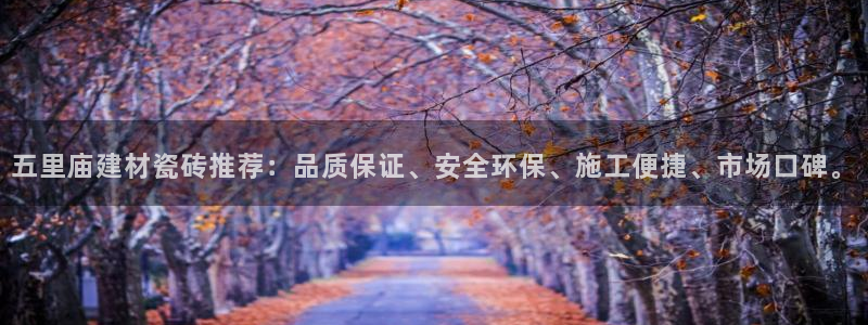 杏鑫平台代理注册流程及费用