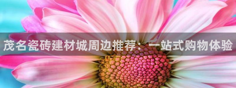 杏鑫平台提供