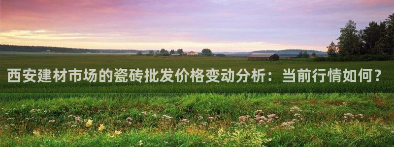 杏鑫官网注册账号是什么样的