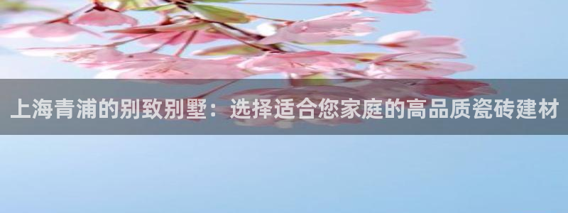 杏鑫平台招商电话号码