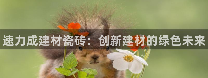 杏鑫注册登录代理