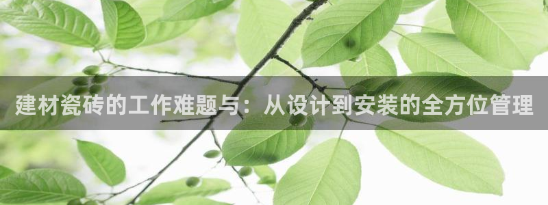 杏鑫平台代理注册登录不了怎么办呀视频