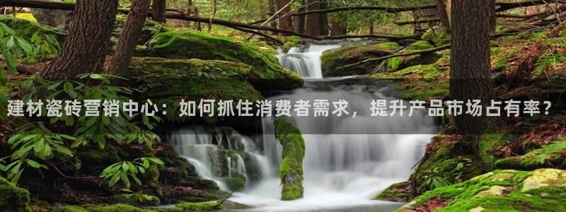 杏鑫平台代理注册流程图