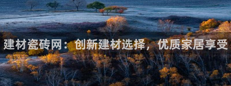 杏鑫平台注册网址查询