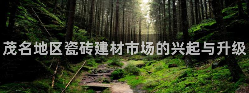 杏鑫平台登录地址