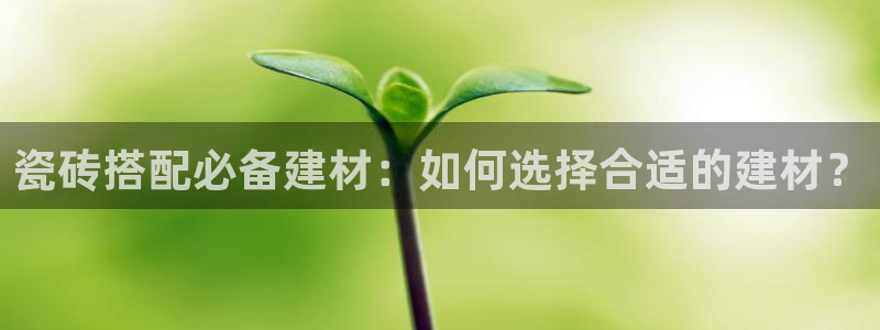 杏鑫平台招商电话号码