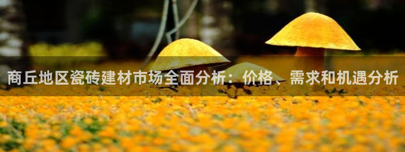 杏鑫平台注册网址是多少