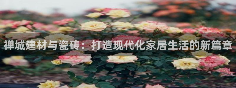 杏鑫平台代理怎么做赚钱