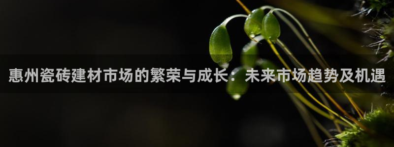 杏鑫官网注册账号密码是多少