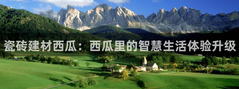 杏鑫平台登录地址是什么