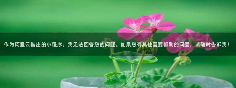 杏鑫注册登录代理公司