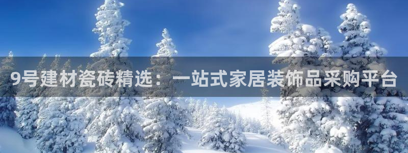 杏鑫注册登录代理