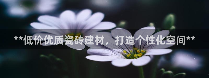 杏鑫平台代理注册多少钱一年