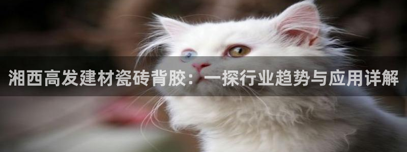 杏鑫平台代理注册多少钱一年