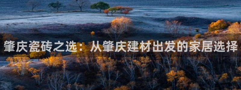 杏鑫注册登录网址是什么