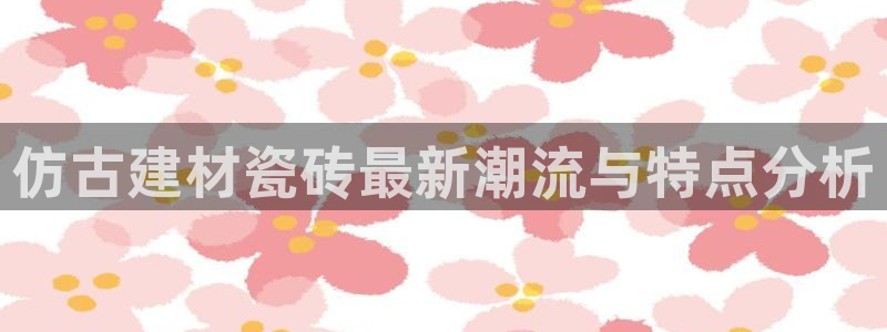 杏鑫代理注册资金多少