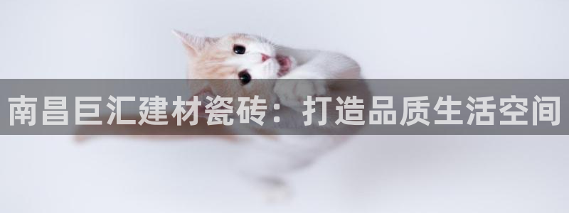 杏鑫平台代理注册登录不了怎么办呀苹果