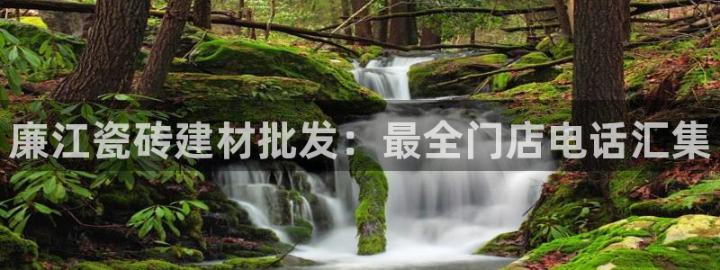 杏鑫平台代理注册流程图