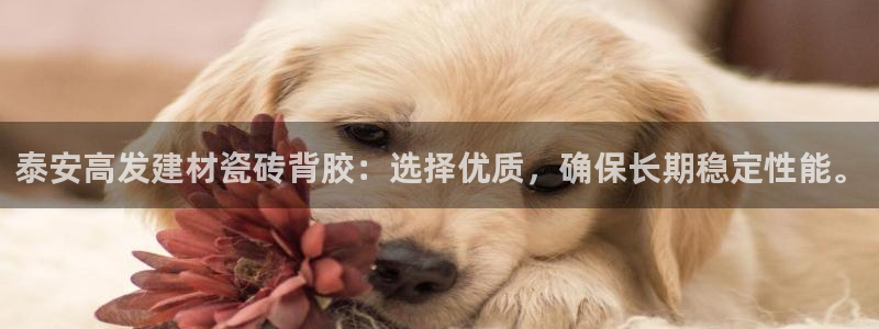 杏鑫娱乐靠谱吗