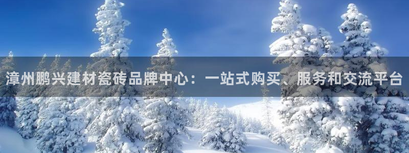 杏鑫平台线路测速