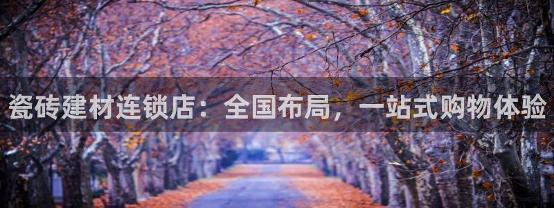 杏鑫官方app代理