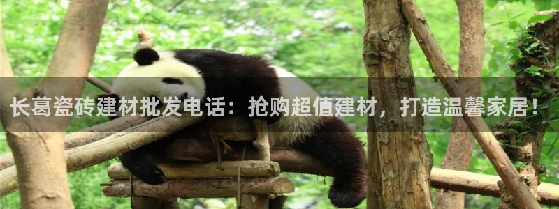 杏鑫娱乐平台登录