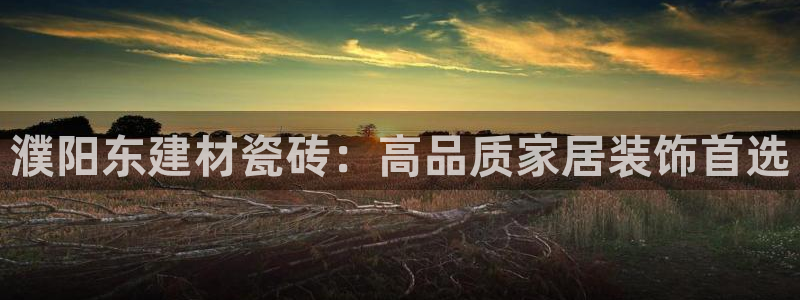 杏鑫官方平台怎么样啊知乎