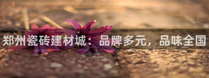 杏鑫平台代理怎么样可靠吗